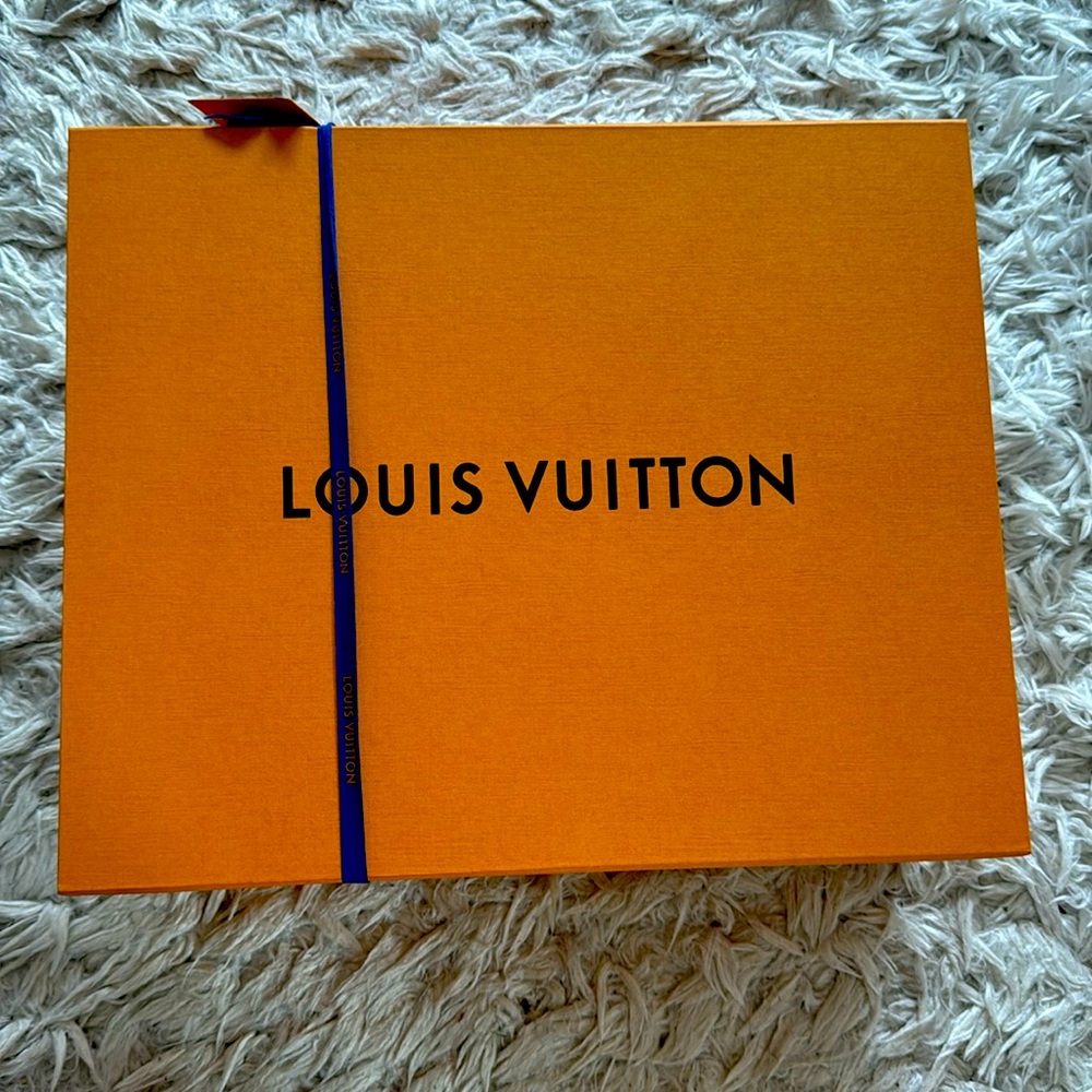 Louis Vuitton medium box
